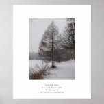 Winter Tree Poster