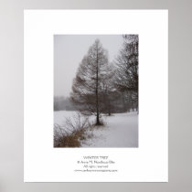 Winter Tree Poster