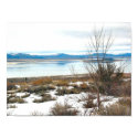 winter tree posters by mytrail winter tree posters