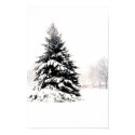 Winter Tree posters by mhartford Winter Tree posters