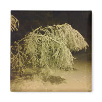 Winter Tree With Snow