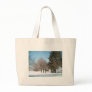 Winter Trees and Shrubs i...