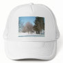 Winter Trees and Shrubs i...