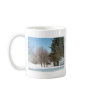 Winter Trees and Shrubs i...