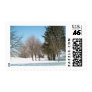 Winter Trees and Shrubs i...