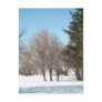 Winter Trees and Shrubs i...