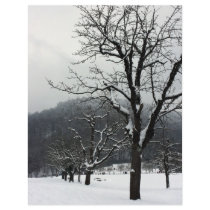 Winter trees. Arlesheim, Switzerland Personalized Flyer