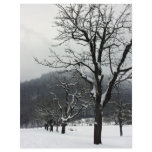 Winter trees. Arlesheim, Switzerland Personalized Flyer