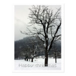 Winter trees. Arlesheim, Switzerland Postcard