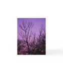 Winter Trees at Sunset Note Card by phipix Winter Trees at Sunset Note Card