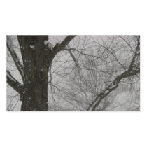 Winter Trees Business Cards