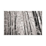 Winter trees canvas print