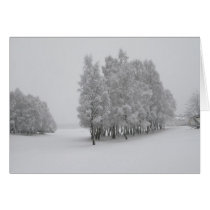 Winter Trees cards