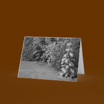 Winter Trees cards