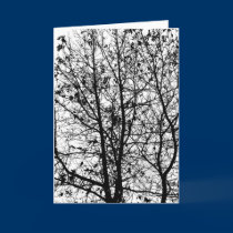 Winter trees cards by MSalone Winter trees cards