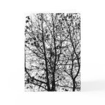 Winter trees cards