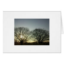 Winter Trees Greeting Card