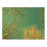 Winter Trees II posters