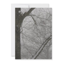 Winter Trees Invite