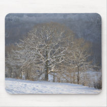 Winter trees mousepads
