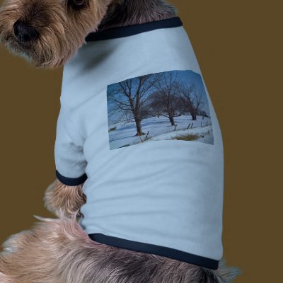 Winter Trees on a Farm in Iowa Pet Tee by OutdoorArt