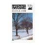 Winter Trees on a Farm in Iowa