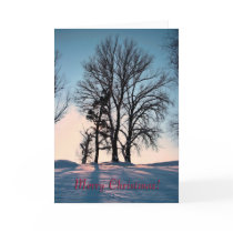 Winter trees on blue sky background cards by patrickrp Winter trees on blue sky background cards