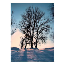 Winter trees on blue sky background posters by patrickrp Winter trees on blue sky background posters