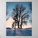 Winter trees on twilight blue sky background posters