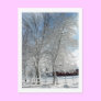 Winter trees