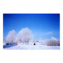 Winter Trees posters by beesplace Winter Trees posters
