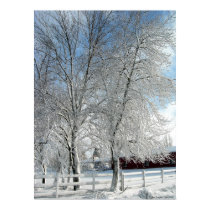 Winter trees posters