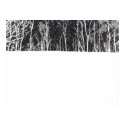 Winter Trees posters