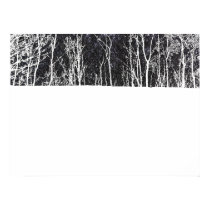 Winter Trees posters by apmercer Winter Trees posters