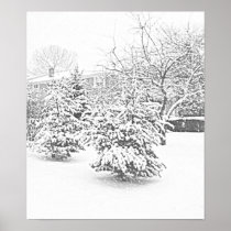 Winter Trees Poster posters