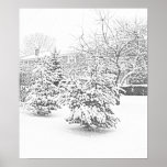 Winter Trees Poster