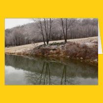 Winter Trees Reflected cards