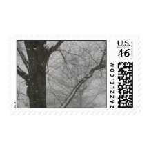 Winter Trees Stamps