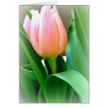 Winter Tulip Greeting Card