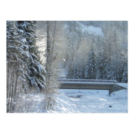 Winter up North Postcard