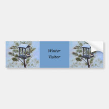 Winter Visitor Bumper Sticker
