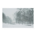 Winter walk #3 posters by fractaldimensions Winter walk #3 posters
