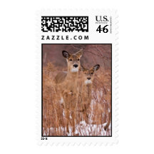 Winter Walk Postage Stamps