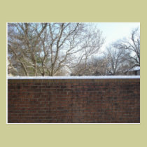 Winter Wall postcards