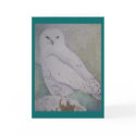 Winter Watch cards