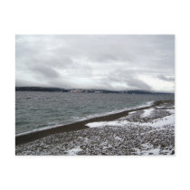Winter Waters Postcard