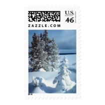 Winter Wedding Holiday Wedding Invitation Stamps