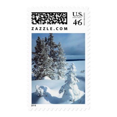 Winter Wedding Holiday Wedding Invitation Stamps
