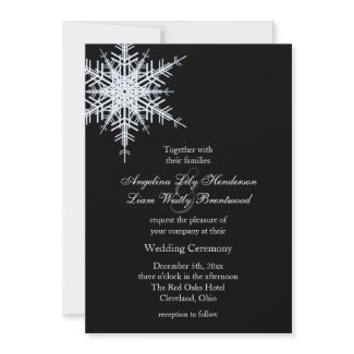 Winter Wedding Invitation invitation