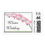 Winter Wedding Orchids